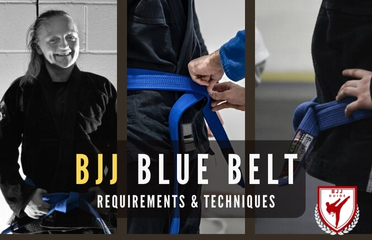 Mastering BJJ Blue Belt