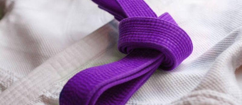 Purple belt bjj - bjj.guide