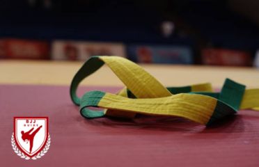 Yellow and Green Belt image - Bjj.Guide