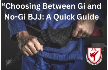 gi and no gi logo