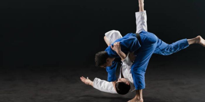 bjj vs kung fu- Bjj.Guide (1)