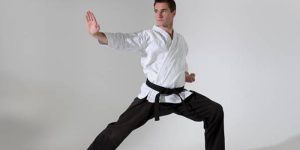 bjj vs kung fu- Bjj.Guide (1)