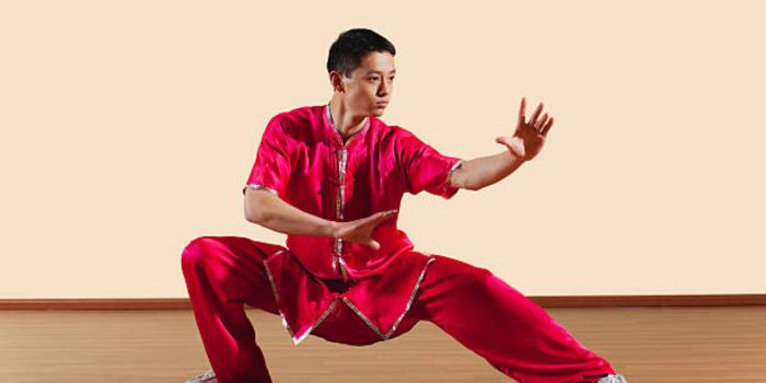 bjj vs kung fu- Bjj.Guide (4)