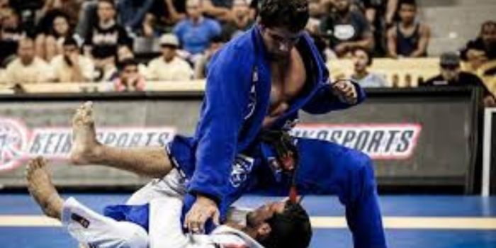 BJJ vs Gracie Jiu Jitsu - Bjj.Guide