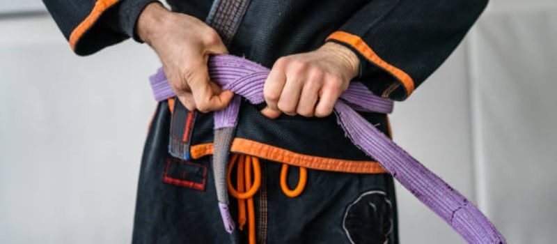 Purple belt bjj - bjj.guide