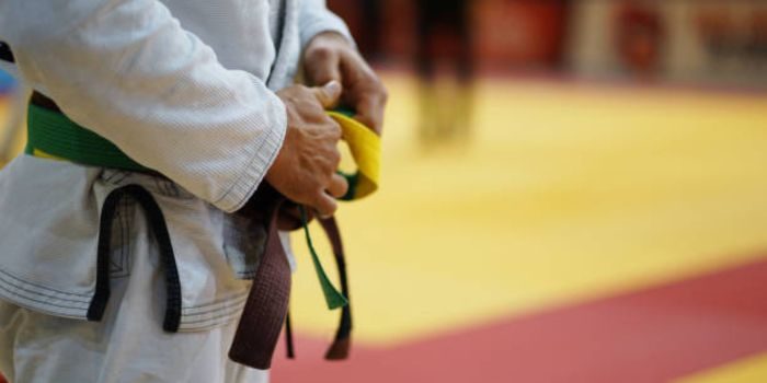 Yellow and Green Belt image - Bjj.Guide