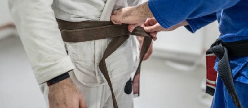 bjj brown belt - Bjj.Guide