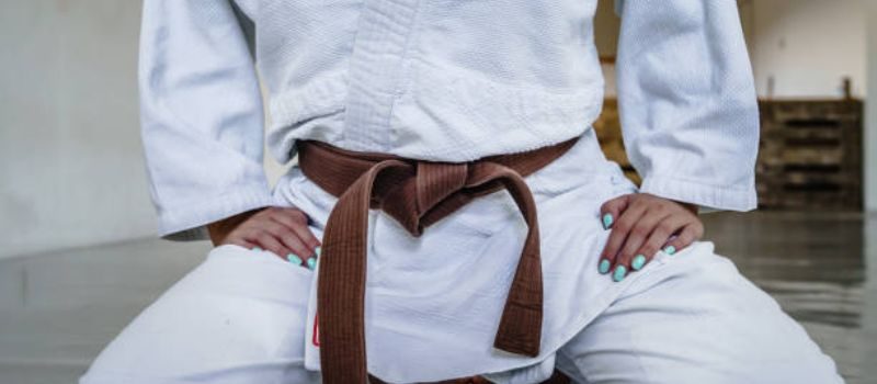 bjj brown belt - Bjj.Guide