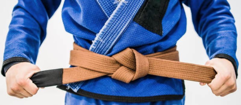 bjj brown belt - Bjj.Guide